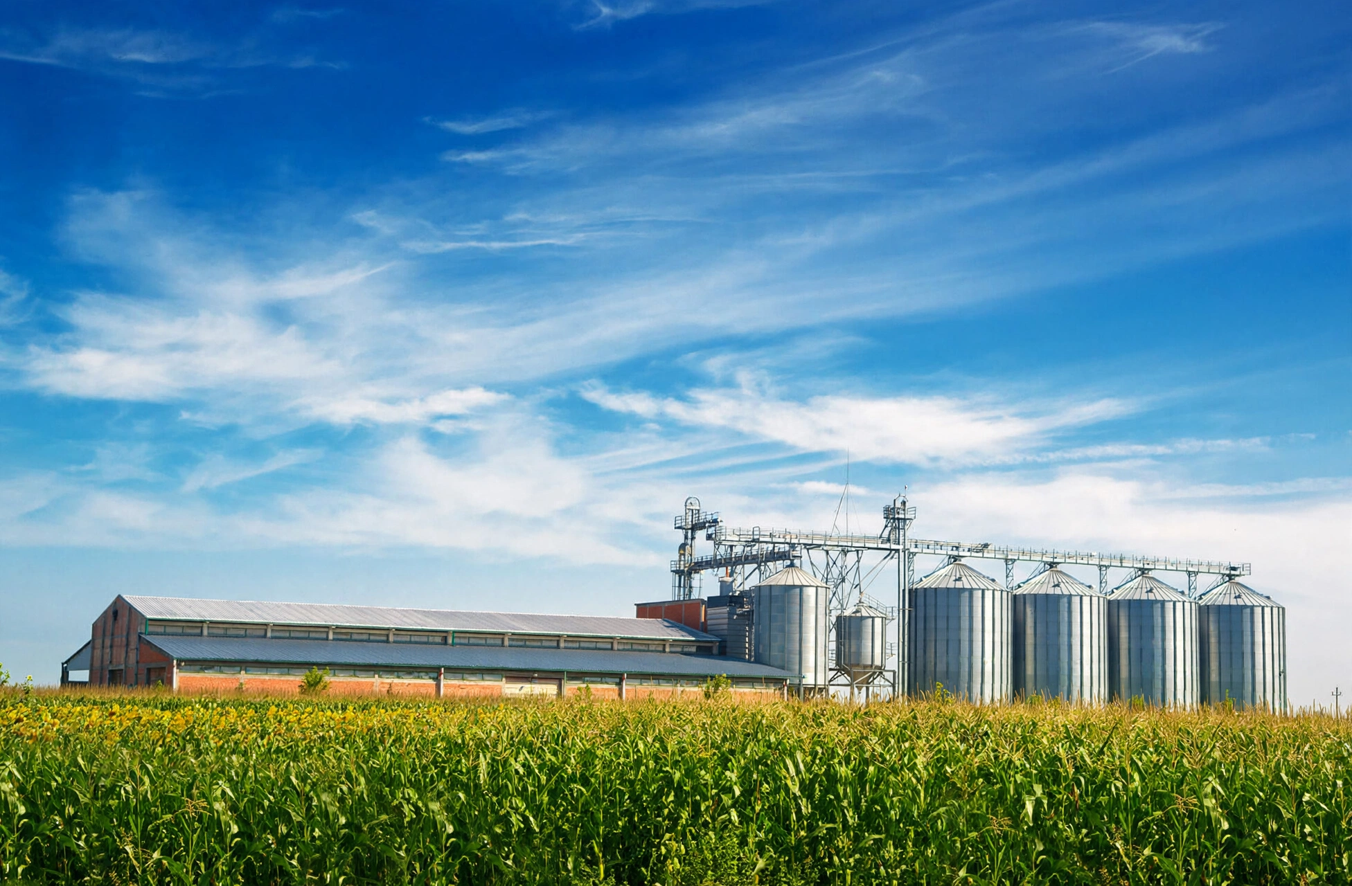 Agro Rosario
